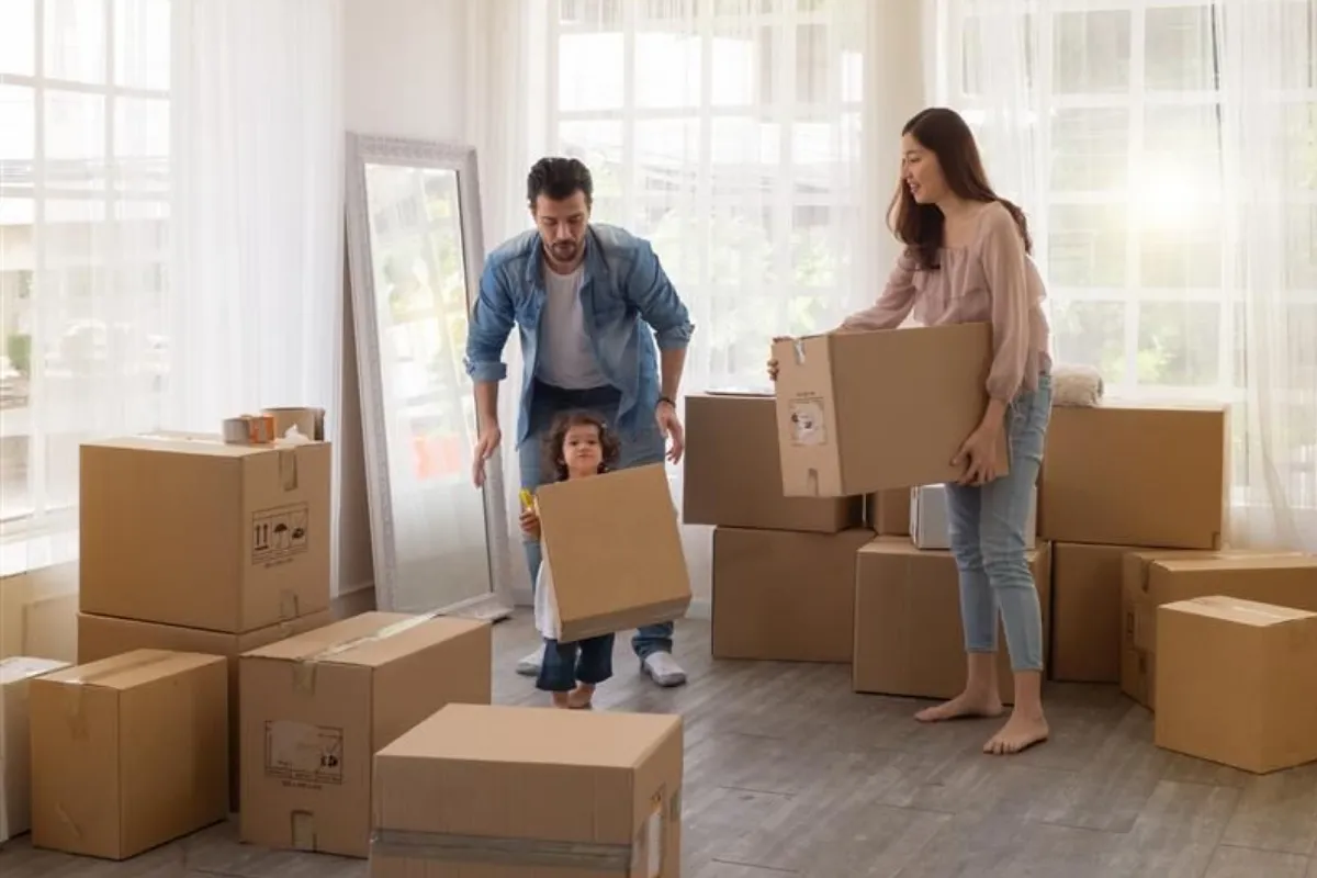 <h2>Property safety</h2>